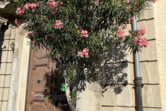 Calabria_1_015-1