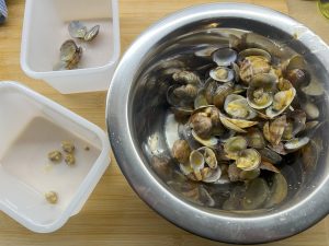 Das Muschelfleisch wird aus den Schalengenommen.